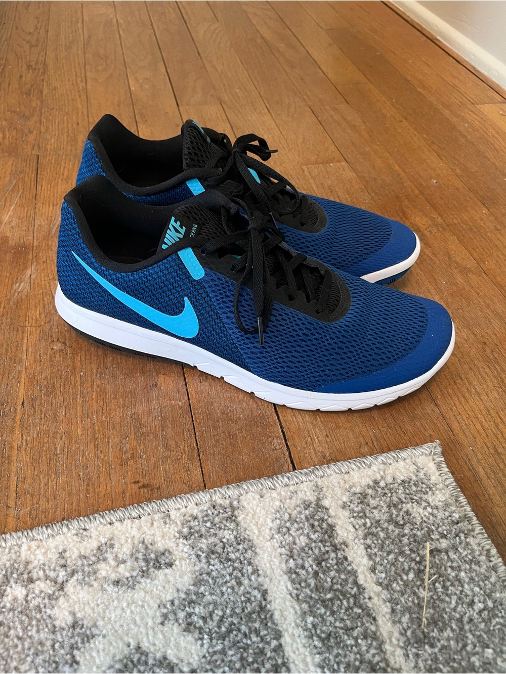 Nike Men's Blue Running Sneakers